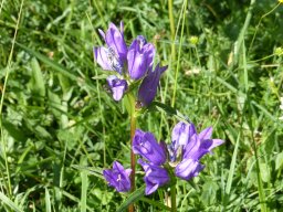 small-P1020967
